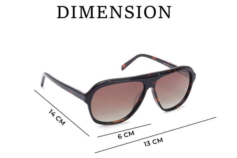 Aviator Full Rim Sunglasses For Men